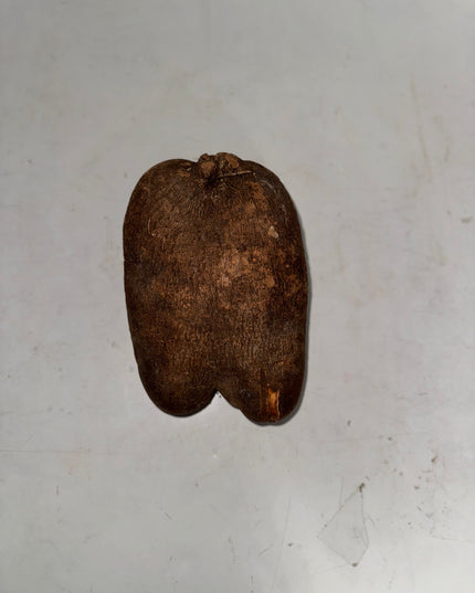 Ikokore/water yam