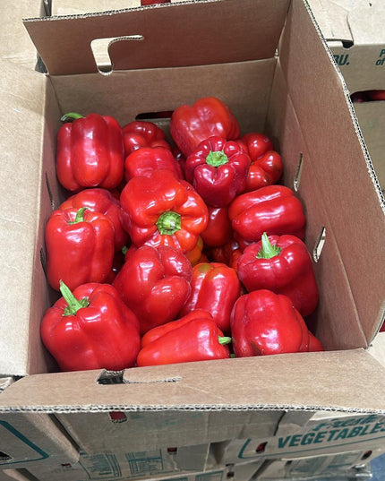 Red Bell Pepper (Tatashe)