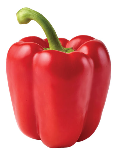 Red Bell Pepper (Tatashe)
