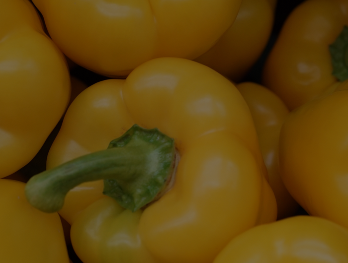 <h2>Our Mission Statement</h2>