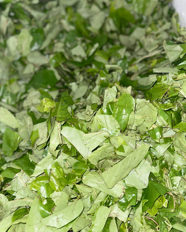 Fresh Oha leaves