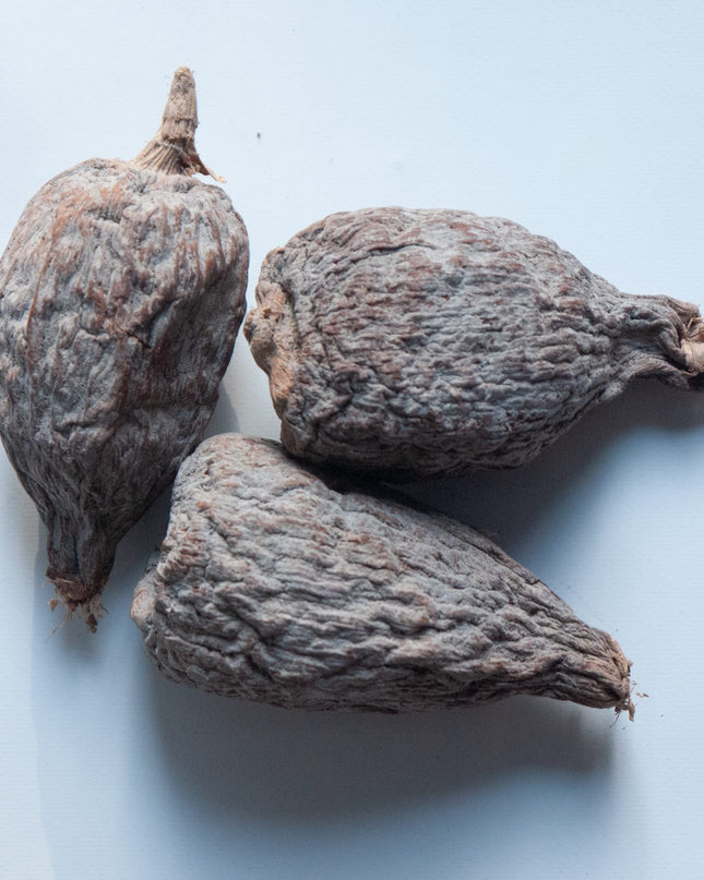 Alligator Pepper