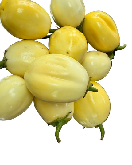 Garden Eggs/ Egg plant
