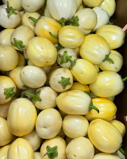 Garden Eggs/ Egg plant