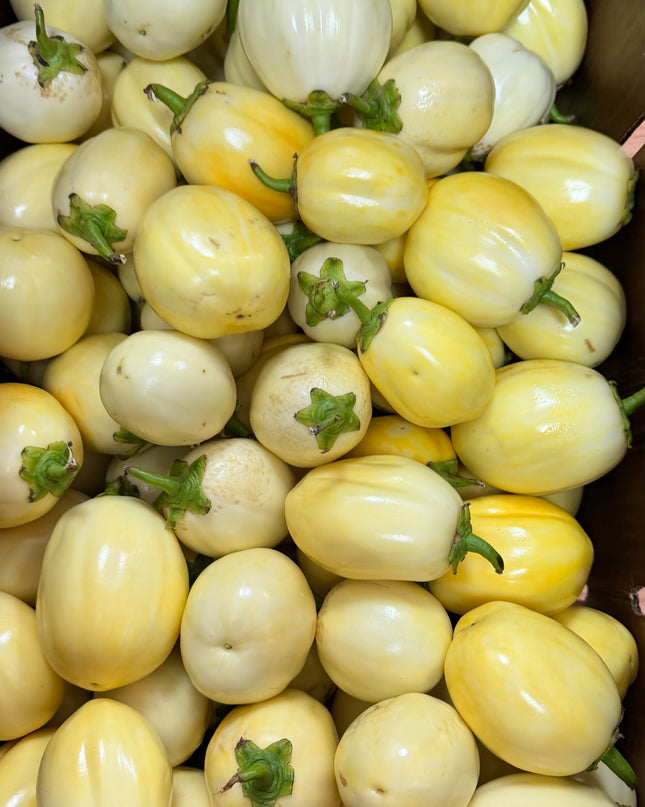 Garden Eggs/ Egg plant