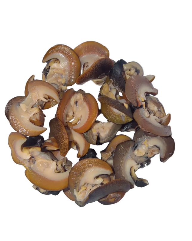 Fresh Snail( Small size)