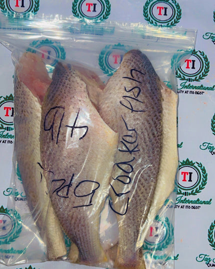 Croaker Fish(fresh and headless)