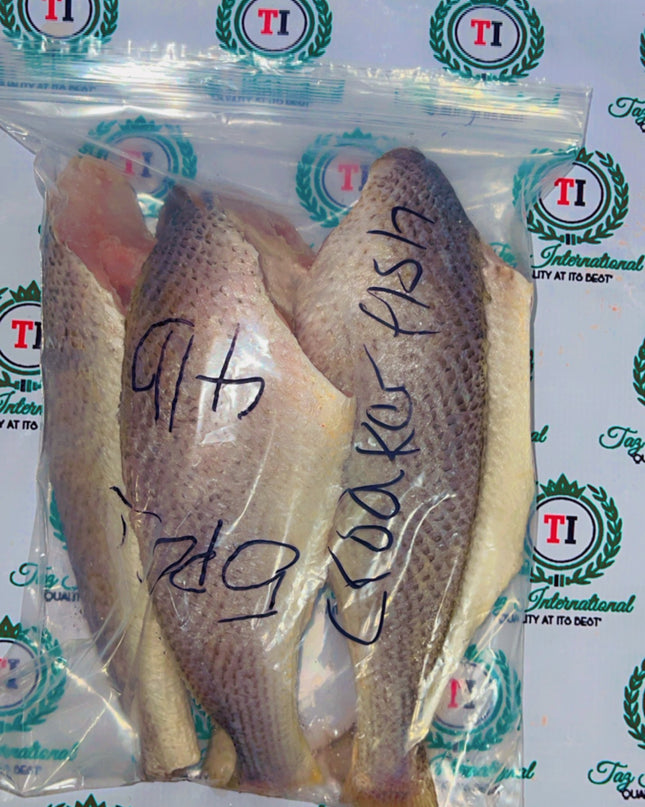 Croaker Fish(fresh and headless)