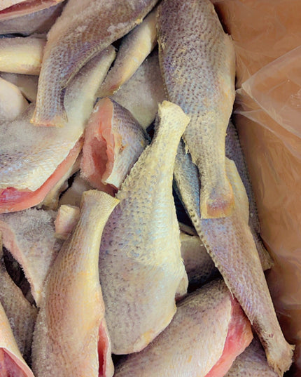 Croaker Fish(fresh and headless)