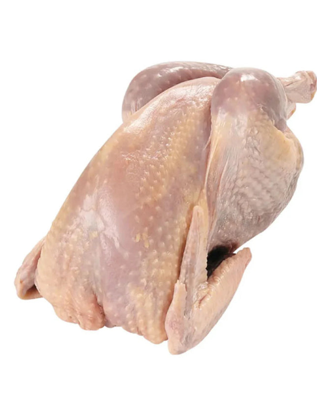 Chicken Fresh(fowl) Halal