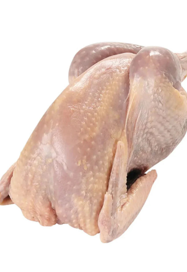Chicken Fresh(fowl) Halal