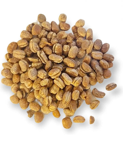 Ehuru Tree Ehuru – TAZInternational