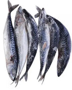 5lb  4PCS