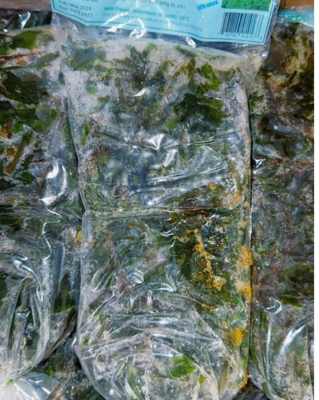 Frozen Water Leaf