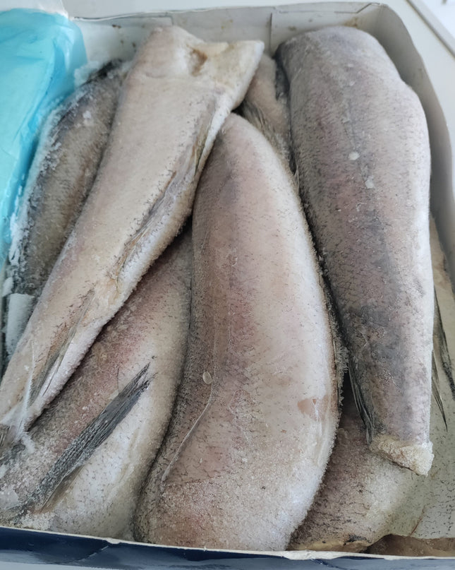Frozen Pacific Whiting Hake Fish