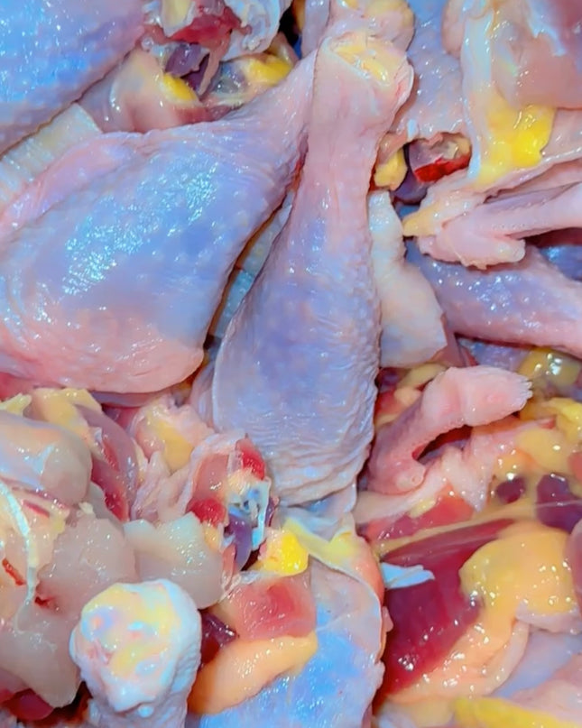 Chicken Fresh(fowl) Halal