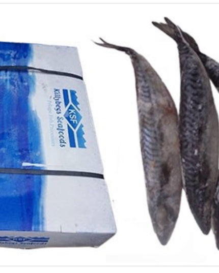 Mackerel Fish/ Tituso