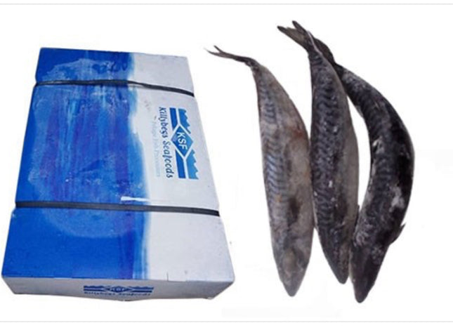 Mackerel Fish/ Tituso