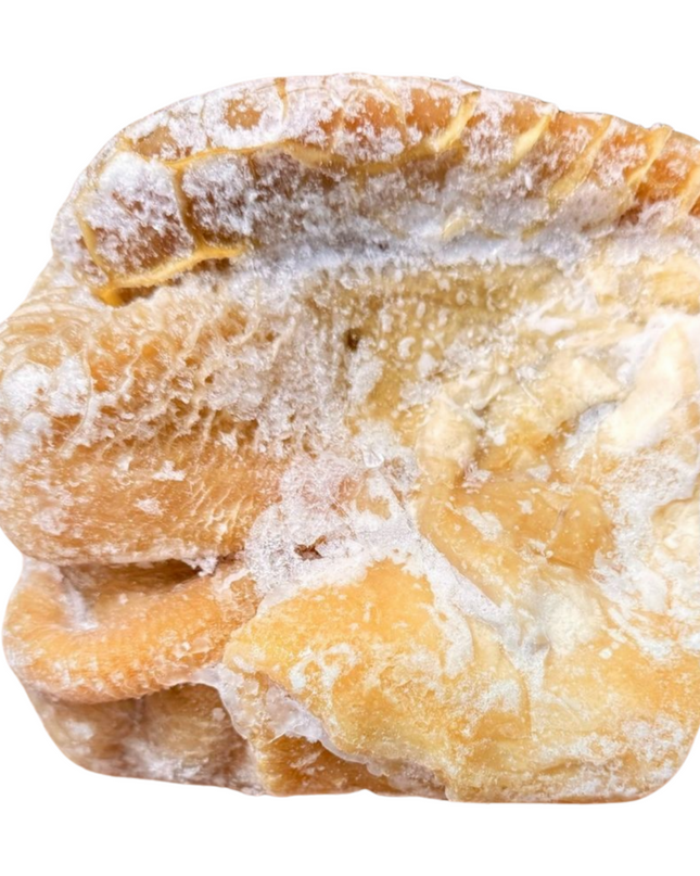 Beef Tribe/ HoneyComb/ shaki