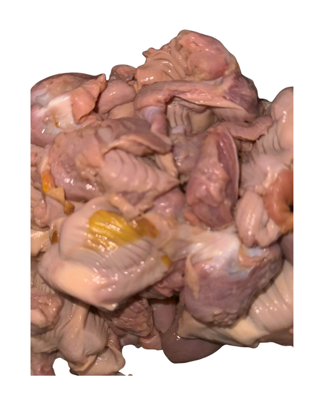 Chicken Gizzard