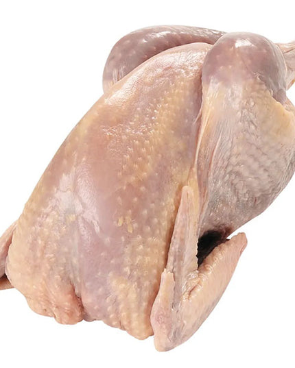 Chicken Fresh(fowl) Halal