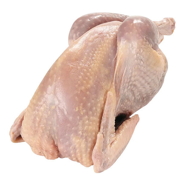 Chicken Fresh(fowl) Halal