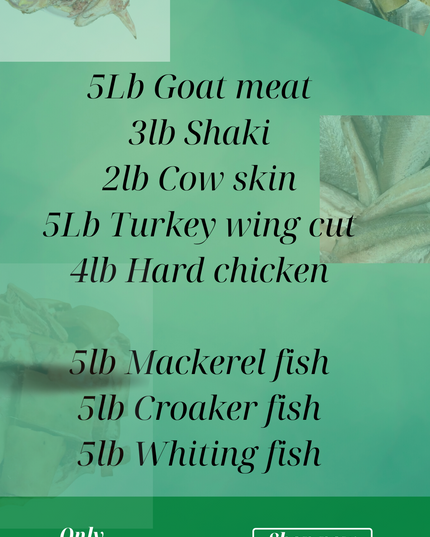 Back to school protein bundle