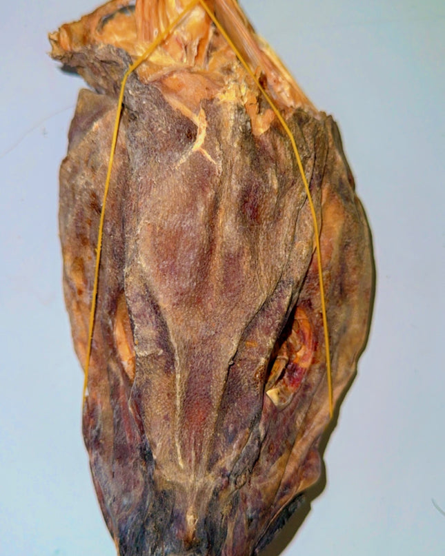 Stockfish Head
