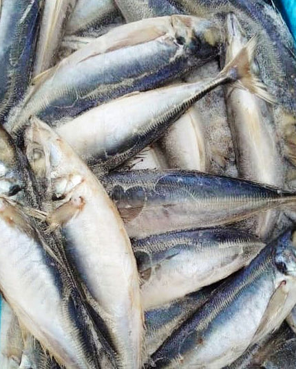 Kote Frozen Fish