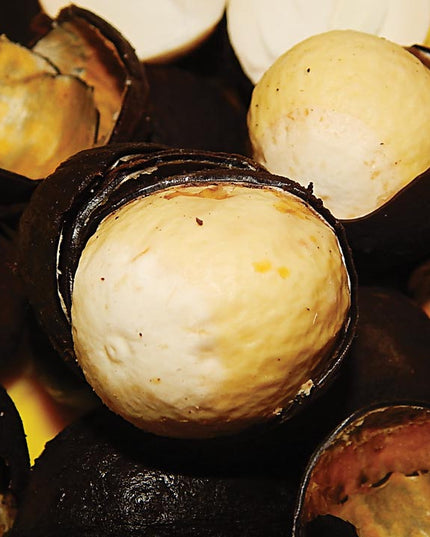 Walnut/ Asala/ Ukpa