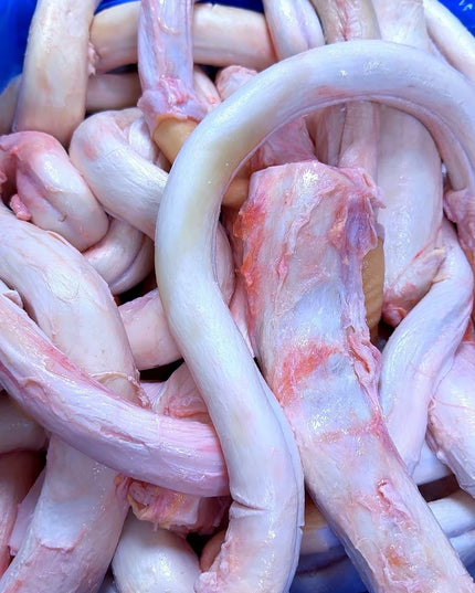 Cow penis