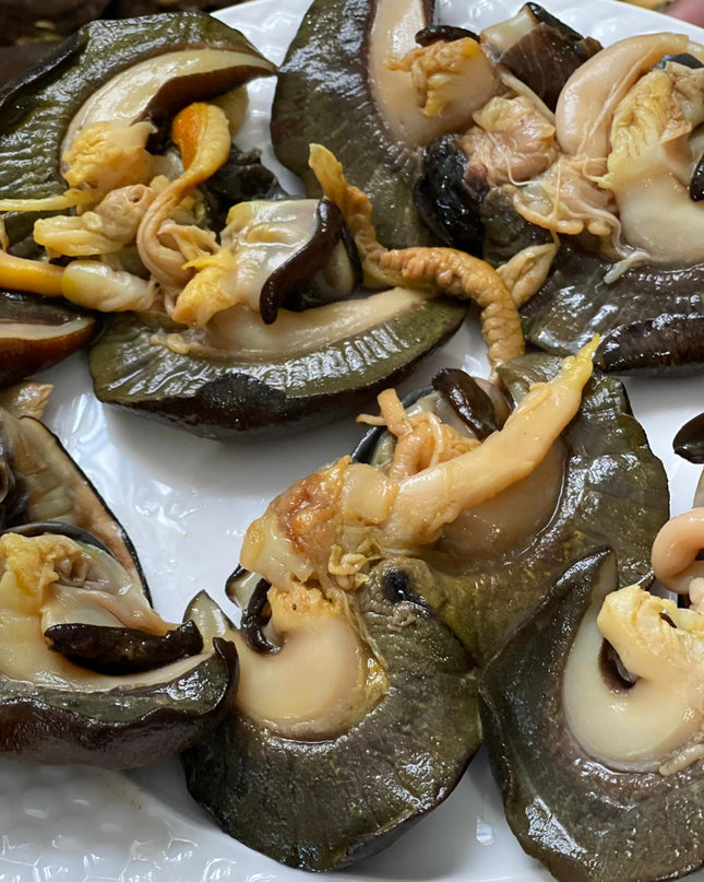 Snail Large