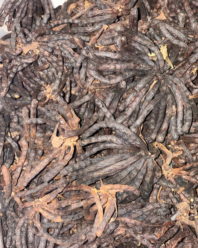 Uda pepper