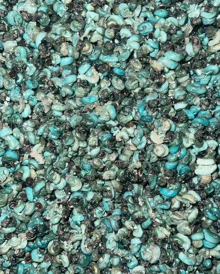 Periwinkle 250G