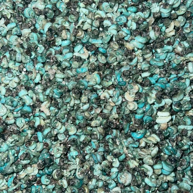 Periwinkle 250G