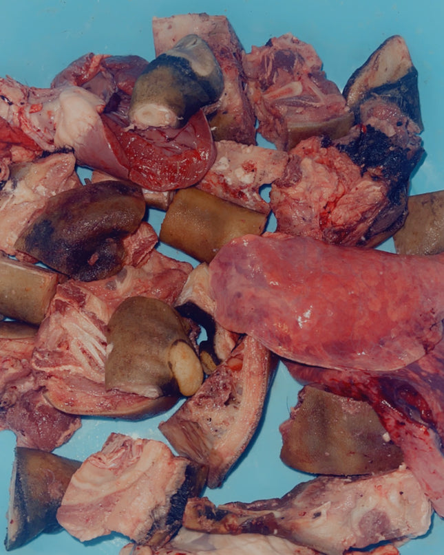 Burnt Goat Head