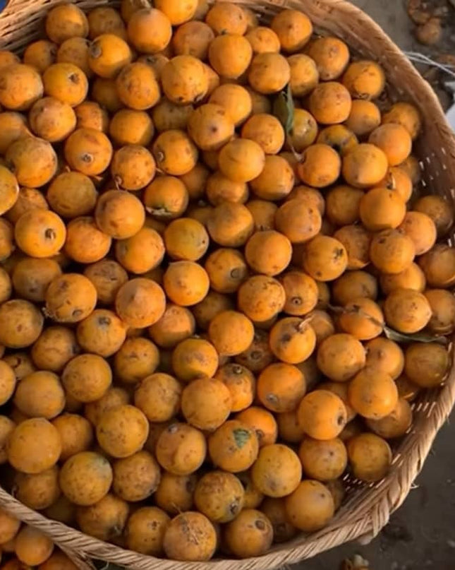 Agbalumo Ajase/ Udara
