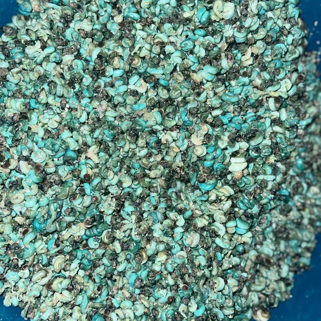 Periwinkle 250G