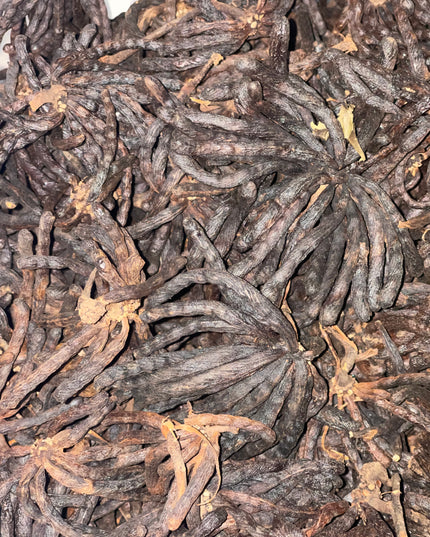 Uda pepper