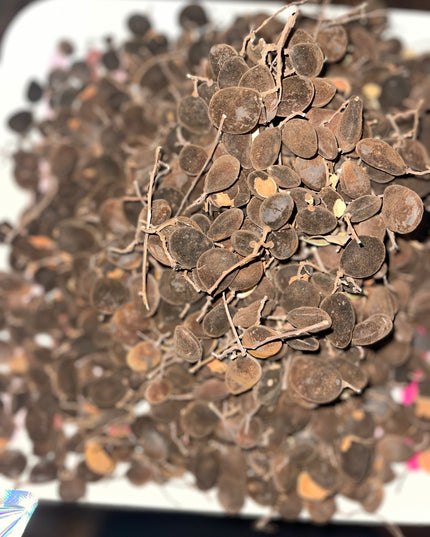African velvet/ Awin 20g
