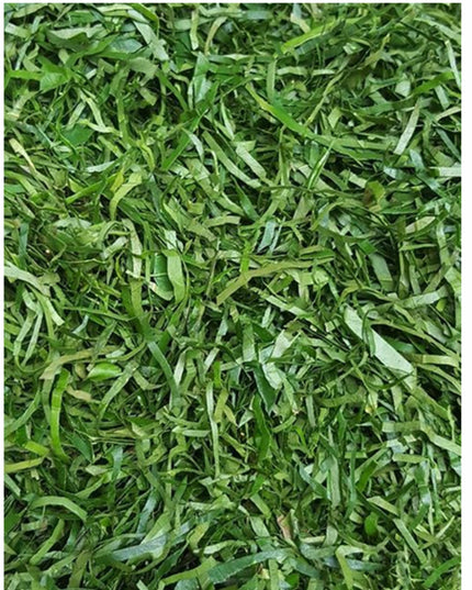 Fresh Afang leaves/ Okazi leaves