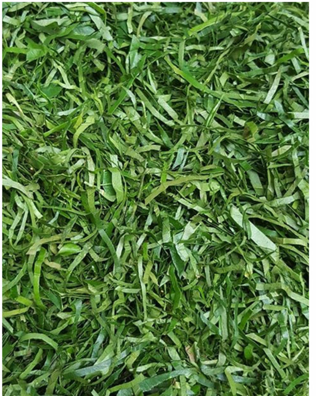 Fresh Afang leaves/ Okazi leaves